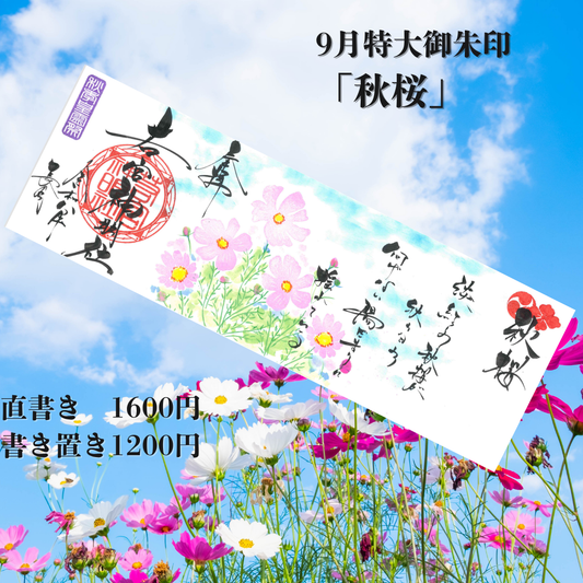 9月特大「秋桜」