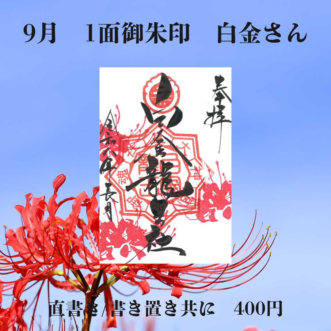 9月白金さん1面御朱印