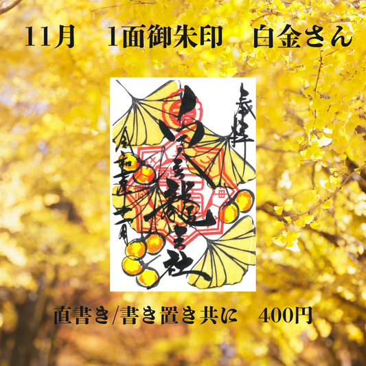 11月白金さん1面御朱印