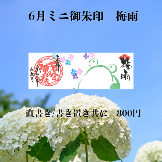 6月ミニ専用「梅雨」御朱印